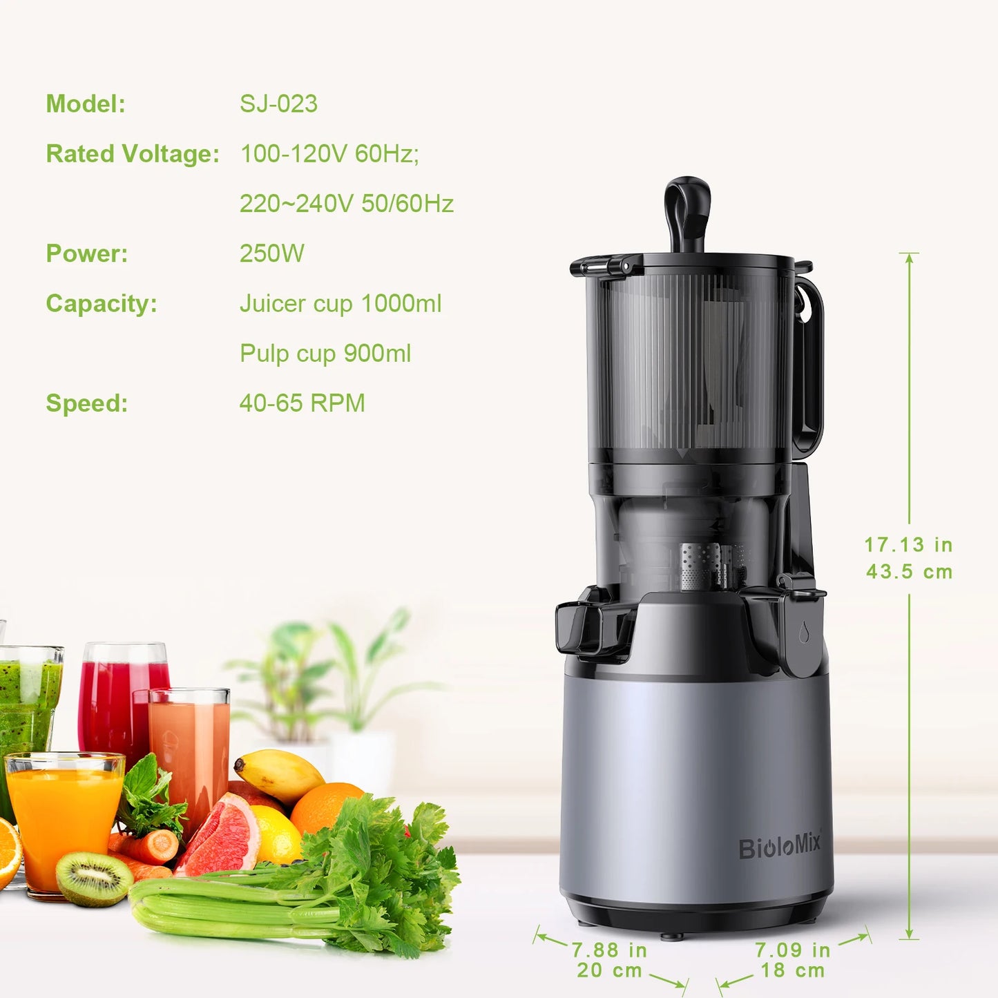 Cold Press Slow Juicer 130mm Wide Chute