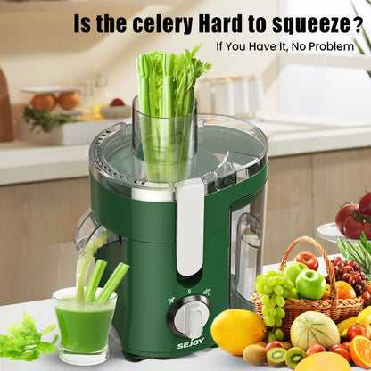 Compact Centrifugal Juicer Machine